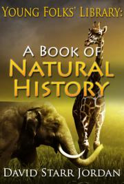 Young Folks' Library: A Book of Natural History